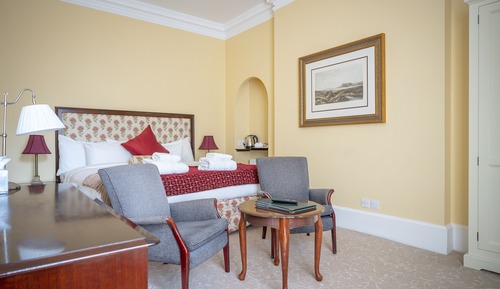 Double or Twin Room (Large)