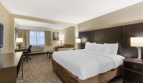 Standard Room, 1 King Bed, Non Smoking, Refrigerator & Microwave