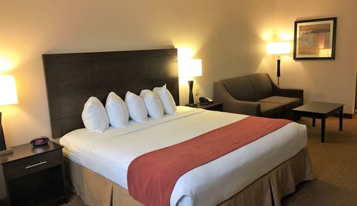 Standard Room, 1 King Bed, Non Smoking, Refrigerator & Microwave (Oversized Room;with Sofabed)
