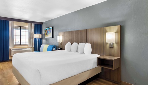 Standard Room, 1 King Bed, Non Smoking, Refrigerator & Microwave (with Sofabed)