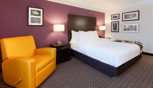 Room, 1 King Bed, Non Smoking