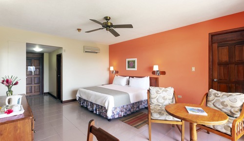 Deluxe Room, 1 King Bed, Garden View