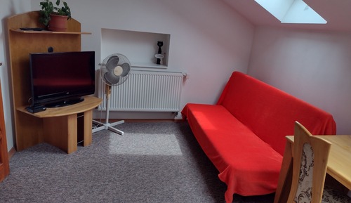 Single Room (Zuzka)