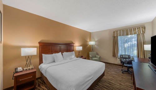 Standard Room, 1 King Bed, Accessible, Non Smoking