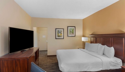 Standard Room, 1 King Bed with Sofa bed, Accessible, Non Smoking (with Sofabed)