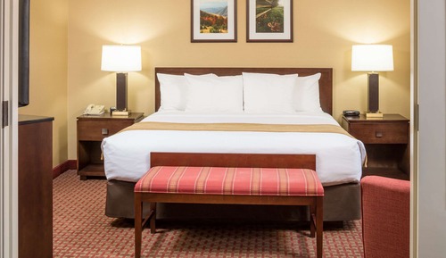 Room, 1 King Bed with Sofa bed, Accessible, Non Smoking (Roll-In Shower)