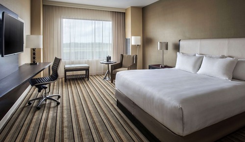 Room, 1 King Bed