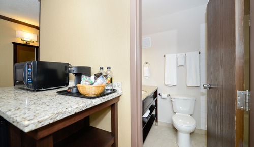Suite, 1 King Bed