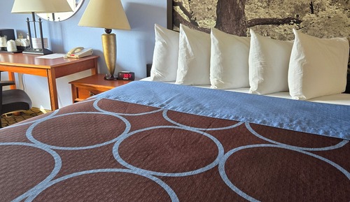 Room, 1 King Bed, Non Smoking