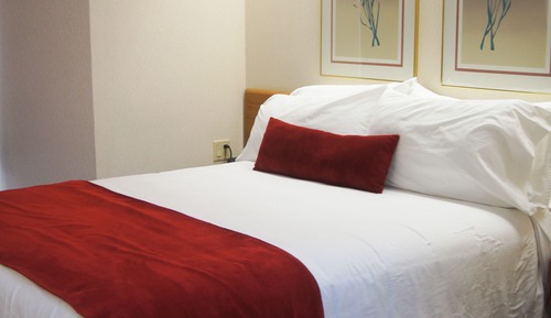 Room, 1 Queen Bed