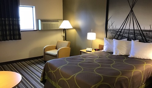 Room, 1 Queen Bed, Non Smoking (Pet-Friendly)