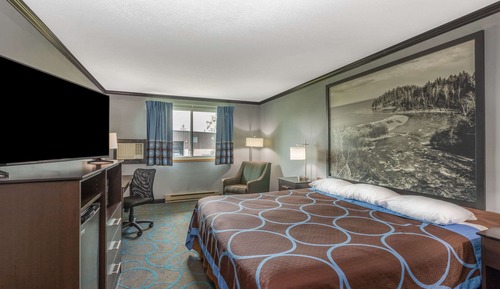 Room, 1 King Bed, Non Smoking