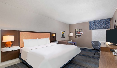 Room, 1 King Bed, Non Smoking