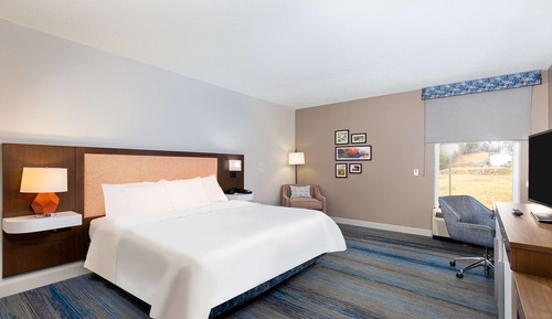 Room, 1 King Bed, Accessible, Non Smoking (Roll-in Shower)