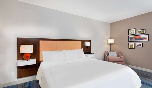 Room, 1 King Bed, Accessible, Bathtub
