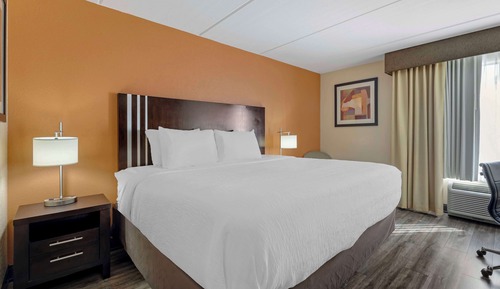 Standard Room, 1 King Bed, Accessible, Non Smoking
