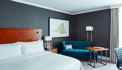 Superior Room, 1 King Bed, Non Smoking