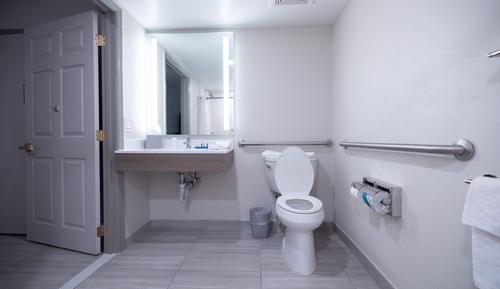 Standard Room, 1 King Bed, Mobility Accessible (Communications, Transfer Shower)