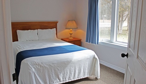 Standard Room, 1 Queen Bed with Sofa bed, Non Smoking, Fireplace