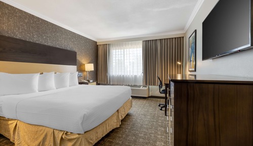 Standard Room, 1 King Bed, Accessible, Non Smoking