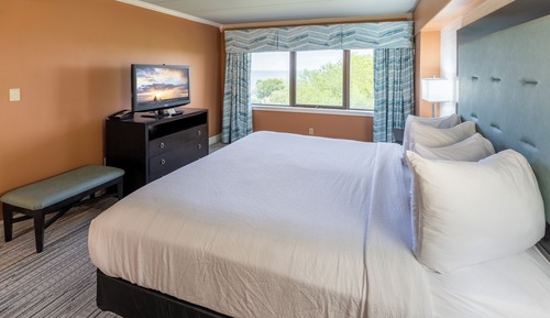 Standard Suite, 1 King Bed with Sofa bed, Park View