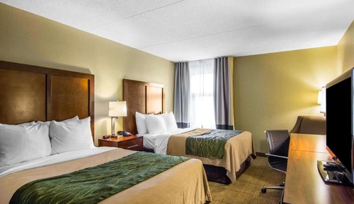 Standard Double Room
