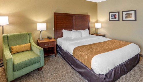 Room, 1 King Bed, Accessible, Non Smoking