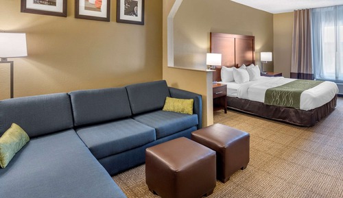 Standard Suite, 1 King Bed with Sofa bed, Non Smoking