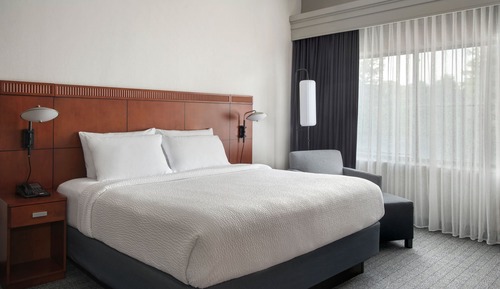 Room, 1 King Bed with Sofa bed