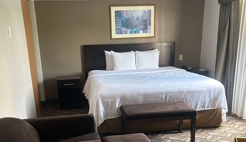 Suite, 1 King Bed, Non Smoking (One-Bedroom Suite)