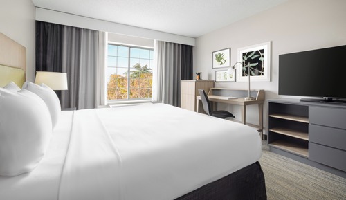 Room, 1 King Bed, Accessible, Non Smoking (Rollin Shower)