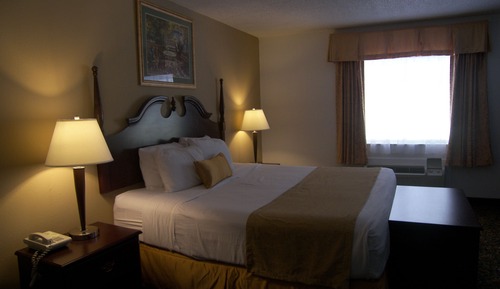 Room, 1 King Bed, Non Smoking