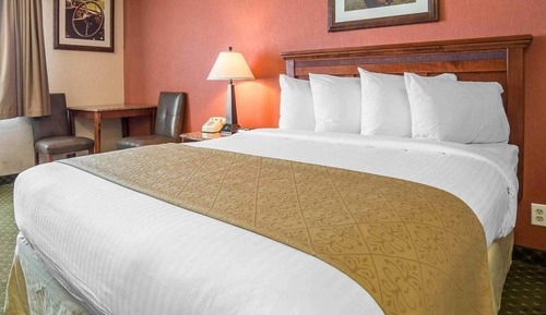 Room, 1 King Bed, Accessible, Non Smoking