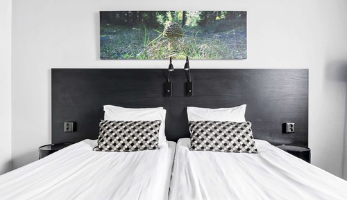 Superior Room, 2 Twin Beds, Non Smoking
