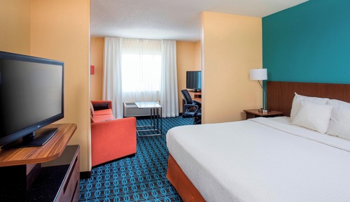 Executive Suite, 1 King Bed with Sofa bed
