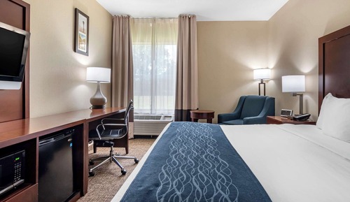 Room, 1 King Bed, Accessible, Non Smoking (Roll-In Shower)