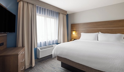 Suite, 1 Bedroom (Living Room)