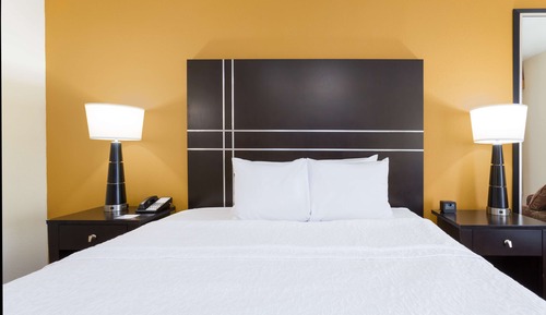 Room, 1 King Bed