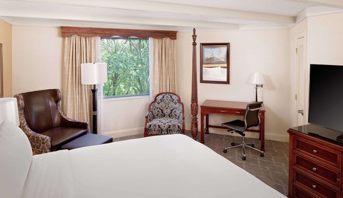 Suite, 1 King Bed