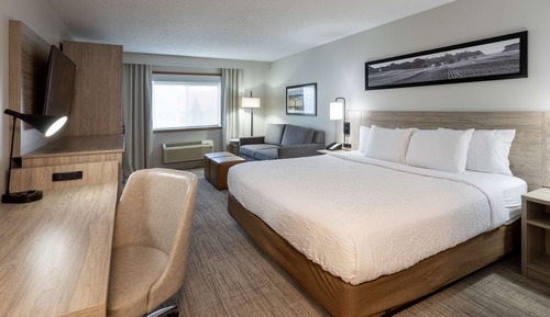 Executive Suite, 1 Bedroom (King)