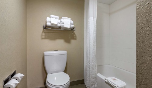 Standard Room, 1 King Bed, Non Smoking