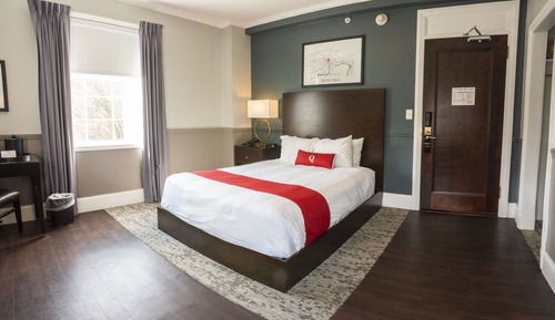 Room, Accessible (Hotel Single Queen)