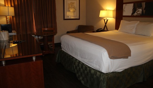 Deluxe Suite (1 King Bed Non Smoking)