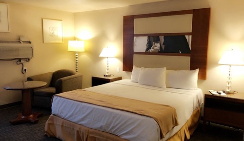 Luxury Single Room, Kitchenette