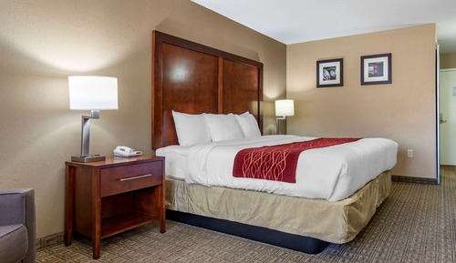 Room, 1 King Bed, Accessible, Non Smoking