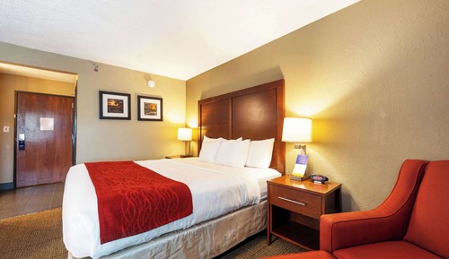 Standard Room, 1 King Bed, Non Smoking