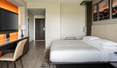 Room, 1 King Bed with Sofa bed (Pure)