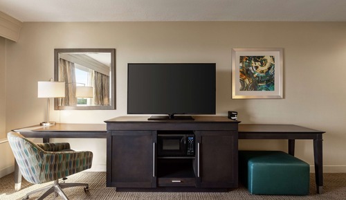 Room, 1 King Bed (Walk-in Shower)