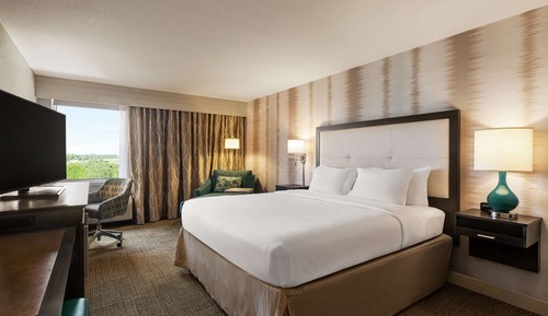 Room, 1 King Bed, Accessible, Non Smoking (Mobility/Hearing, Roll-in Shower)