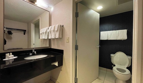 Standard Room, 1 King Bed (Mobility/Hearing Access, Roll-In Shwr)